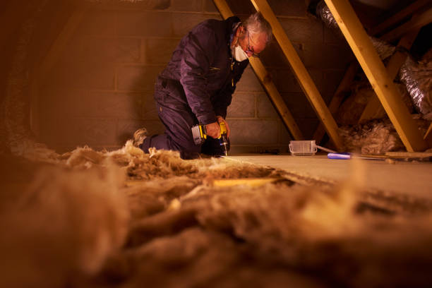 Best Insulation Installation Services in Jamul, CA